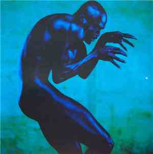 Seal - Human Being