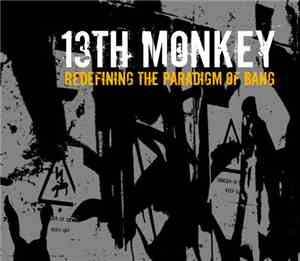 13th Monkey - Redefining The Paradigm Of Bang