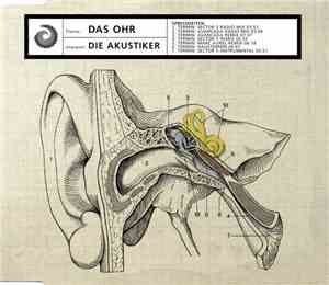 Die Akustiker - Das Ohr