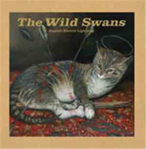 The Wild Swans - English Electric Lightning