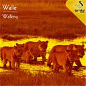 Walle  - Walking