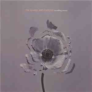 The Naked And Famous - In Rolling Waves