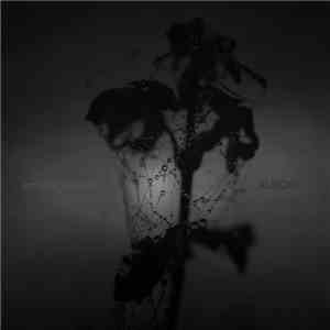 Emmanuel Holterbach - Aurora