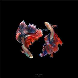 Kai Beckman - Yin_Yang