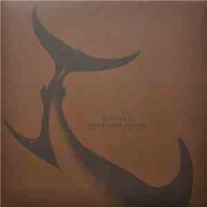 Witxes, Dale Cooper Quartet And The Dictaphones - Split